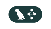 Langgraph