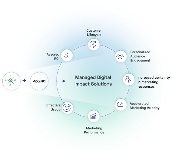 Benefits of Xerago's Adobe Expertise